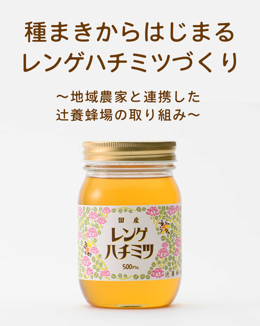 【種まきからはじまる レンゲハチミツづくり】〜地域農家と連携した 辻養蜂場の取り組み〜