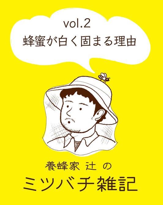 コラム【養蜂家 辻のミツバチ雑記 vol.2】〜蜂蜜が白く固まる理由〜がアップされました！