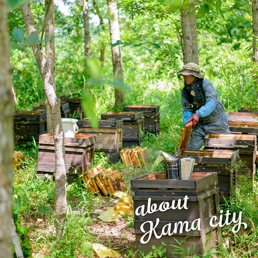 嘉麻市について