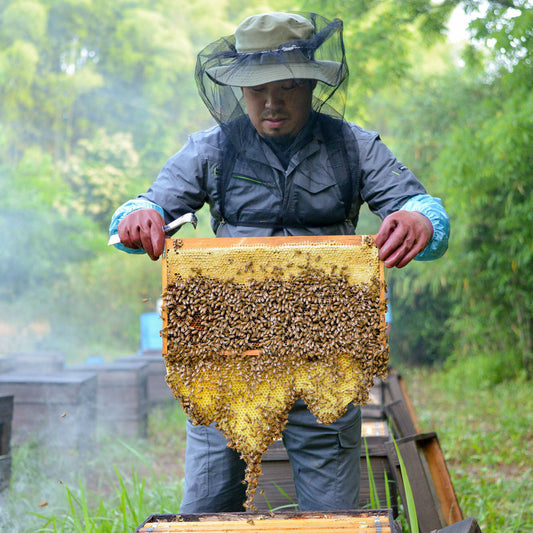 枠からはみ出した巣