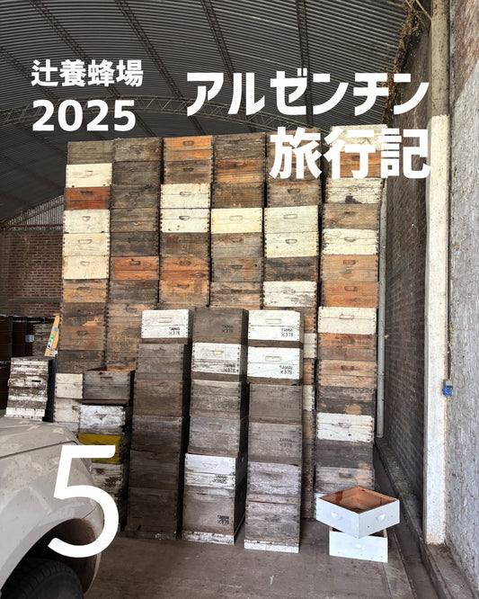 コラム「🇦🇷アルゼンチン旅行記5」をアップしました！