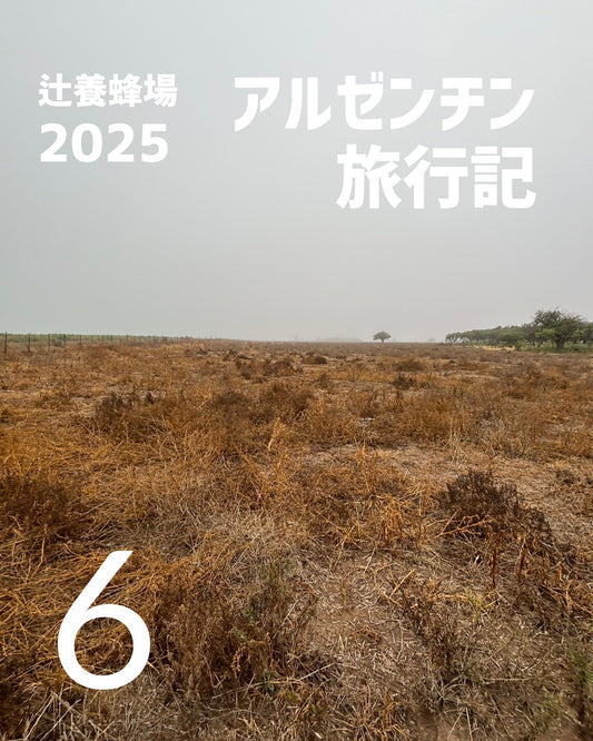 🇦🇷アルゼンチン旅行記6