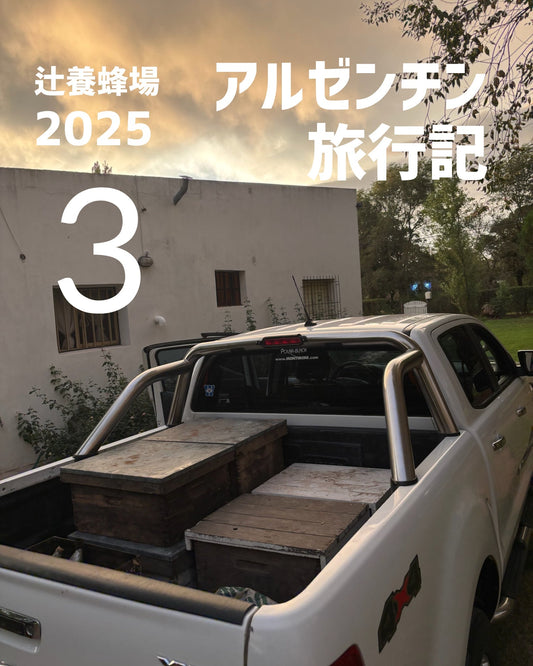 🇦🇷アルゼンチン旅行記3