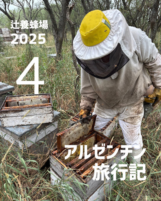 🇦🇷アルゼンチン旅行記4