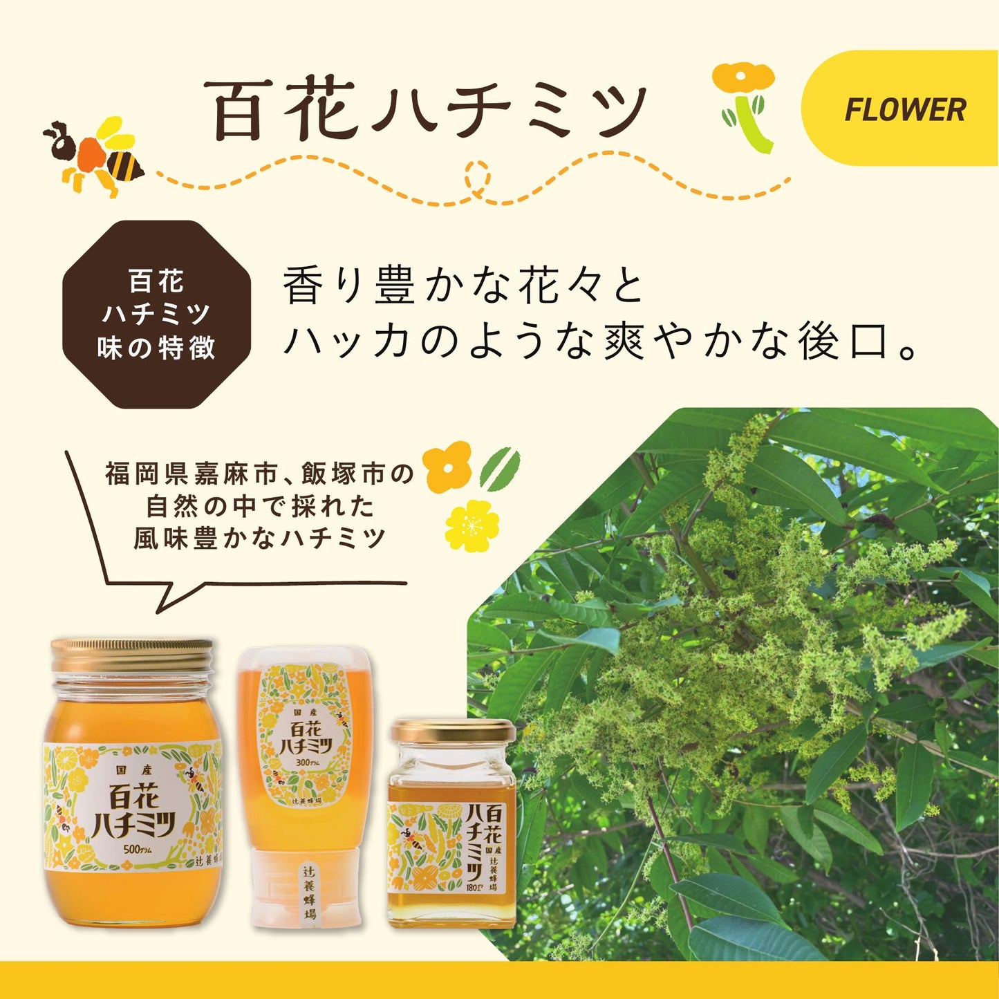 レンゲハチミツ・百花ハチミツ・アカシアハチミツ／300g×3セット