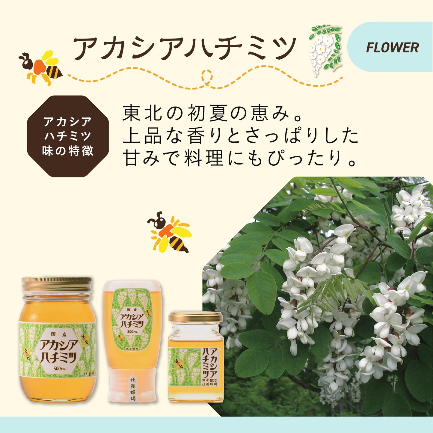 レンゲハチミツ・百花ハチミツ・アカシアハチミツ／300g×3セット