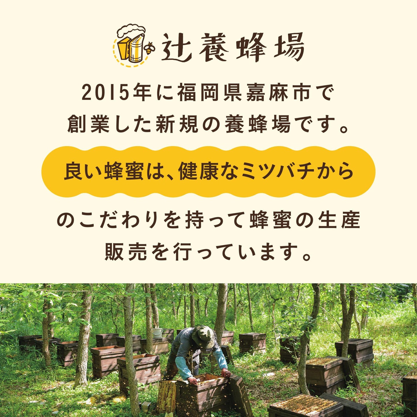 レンゲハチミツ・百花ハチミツ・アカシアハチミツ／300g×3セット